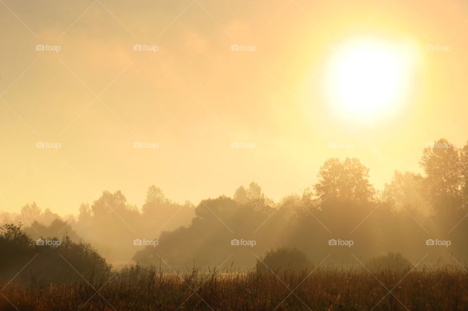 Misty morning autumn landscape