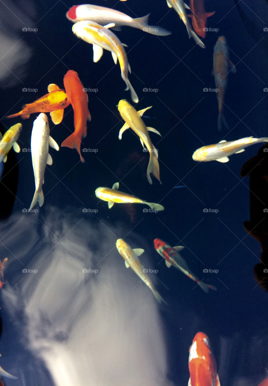 Incredible reflections 