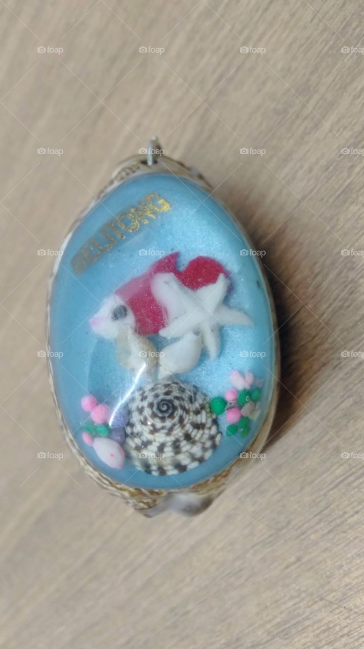 Craftsmen from real shells