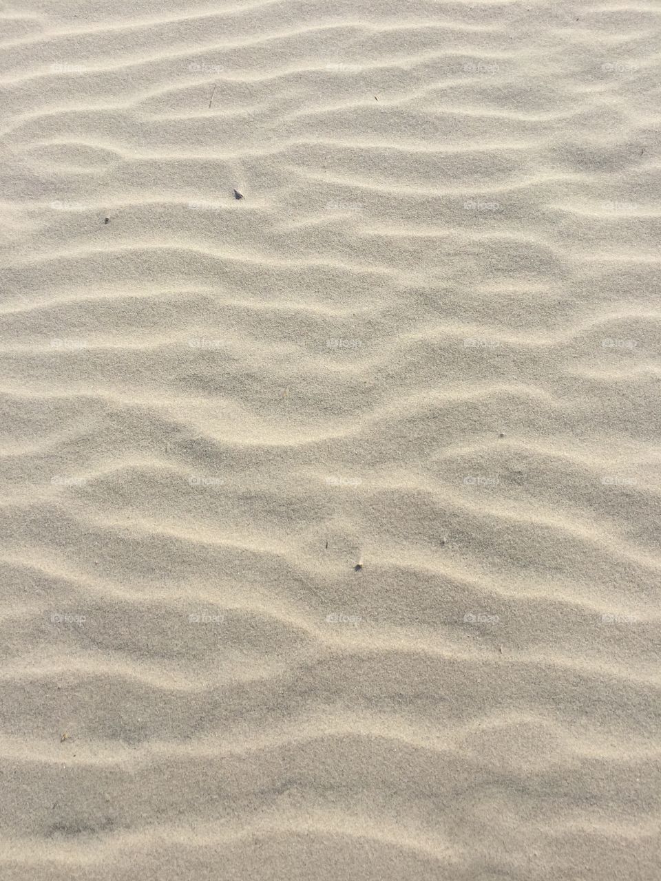 Windblown sand
