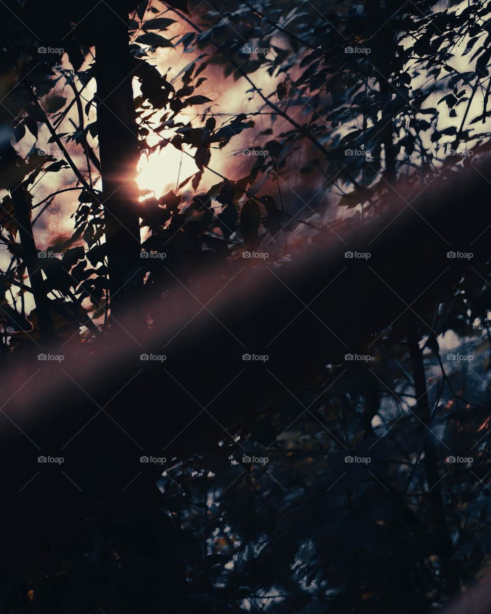 sunshine finally appearing after a long dark night.