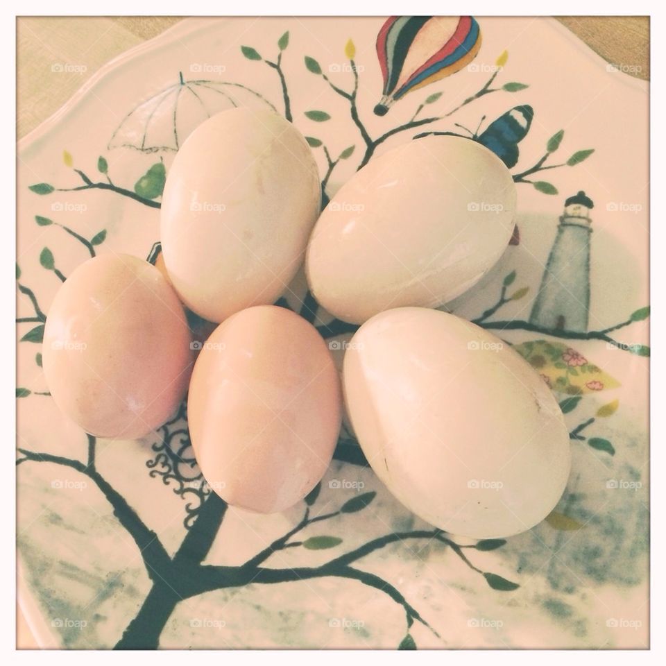 Fresh eggs