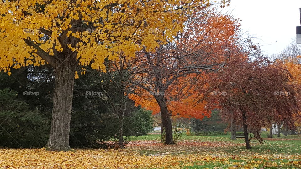 commuting viewpoints