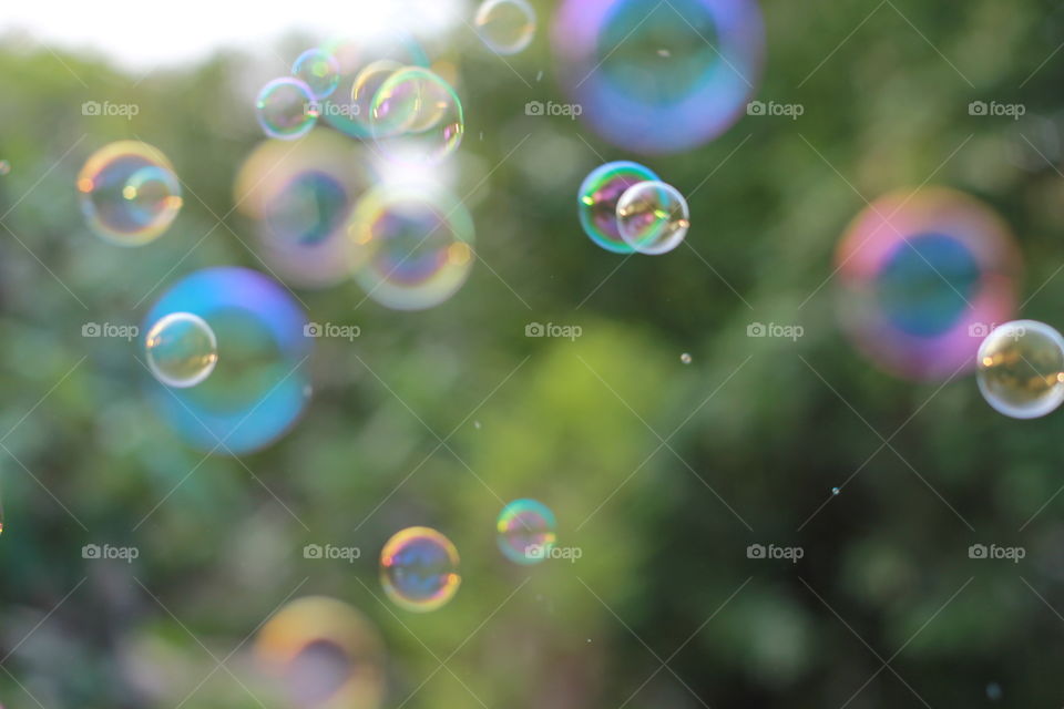 Bubble 