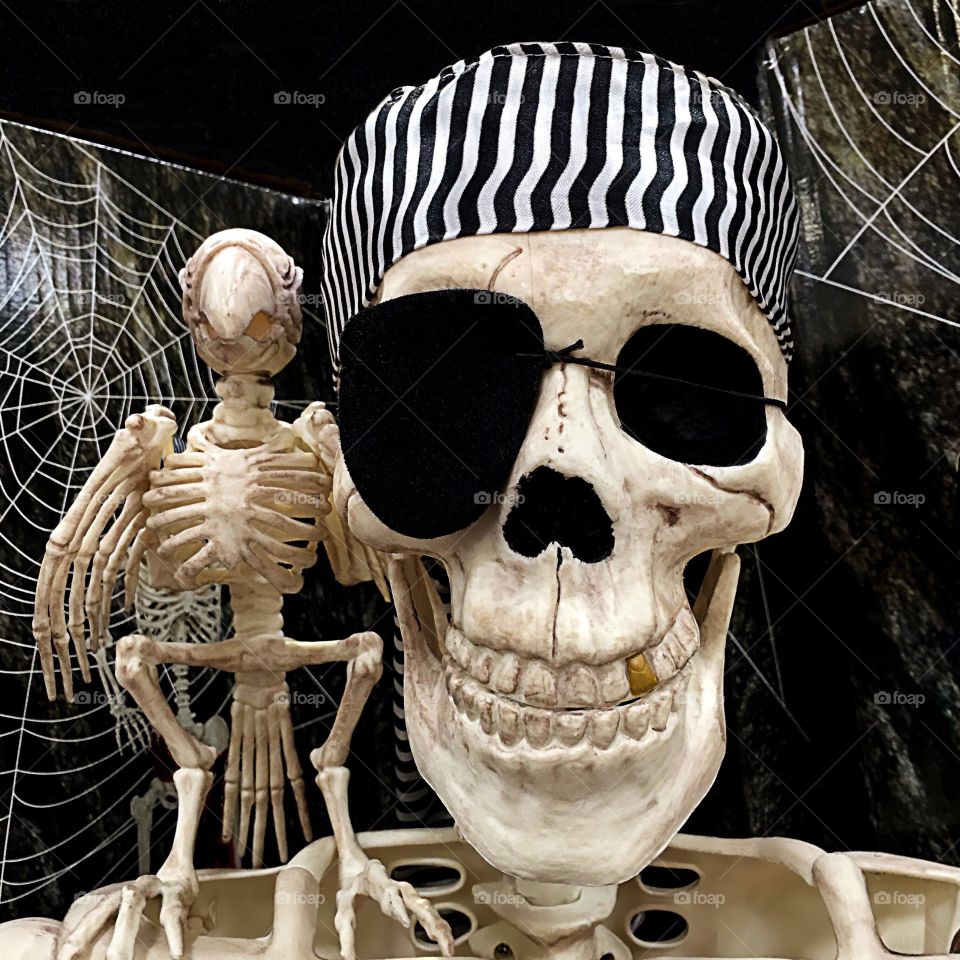 Pirate and parrot skeleton
