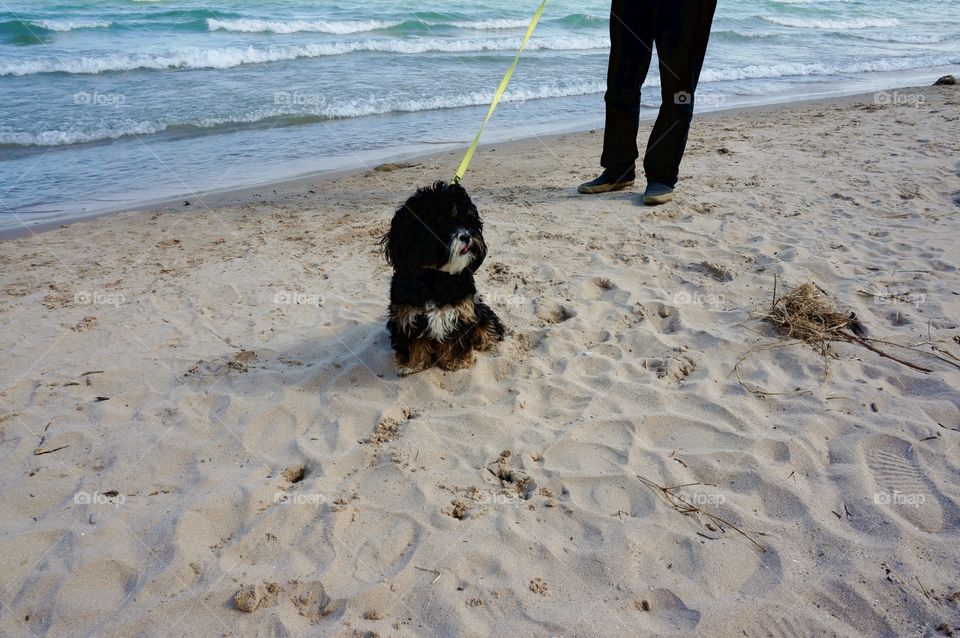 Beach Baby. Zanna Leading the Way