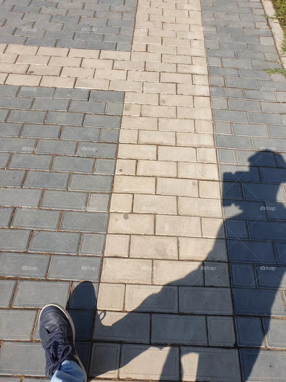shadow