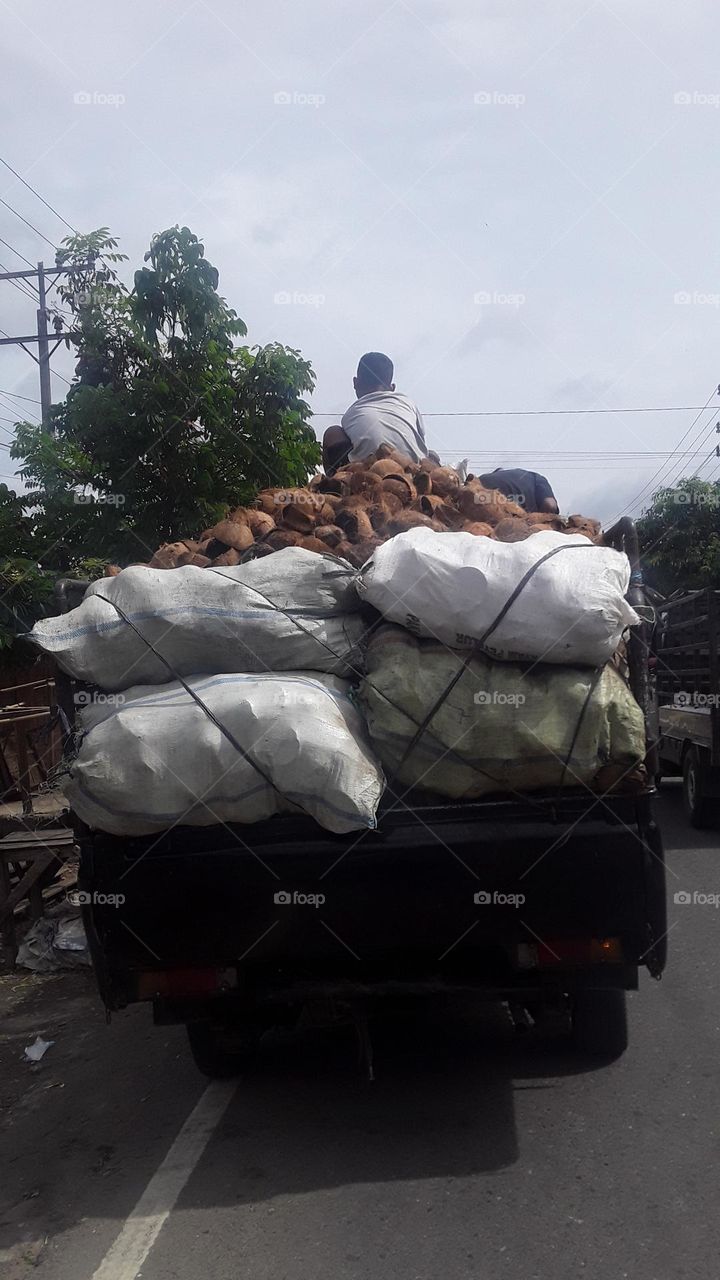on the coconut there is still a head