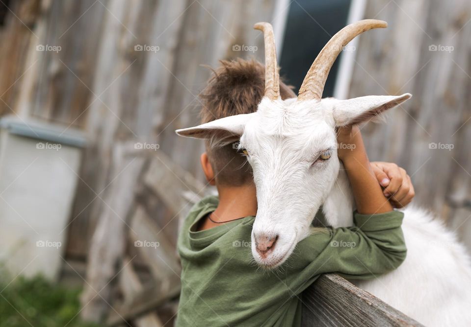 Countryside, two friends 