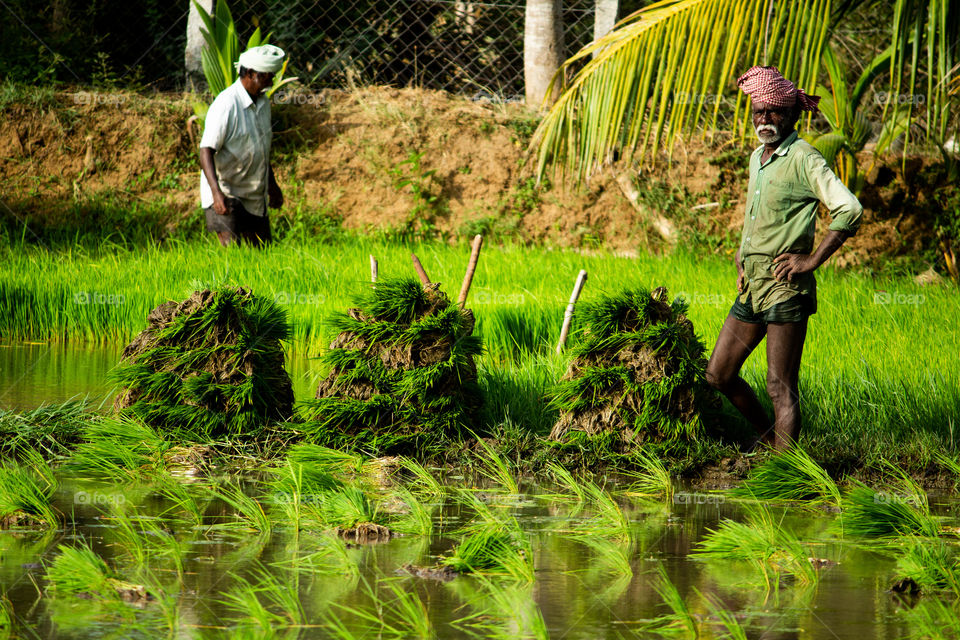 Go green Go agri #saveworld #agriculture #villagelife