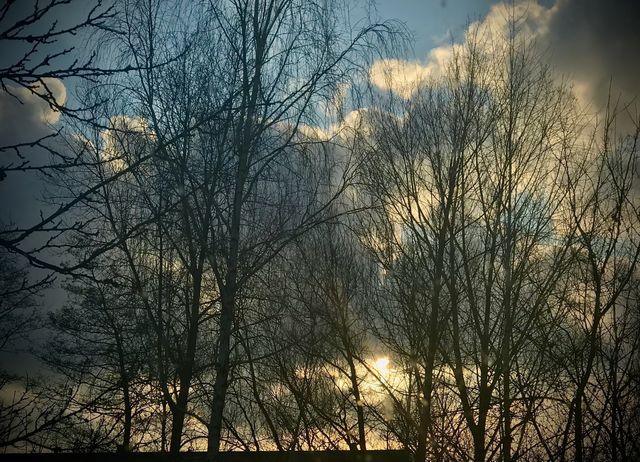 Gold sky