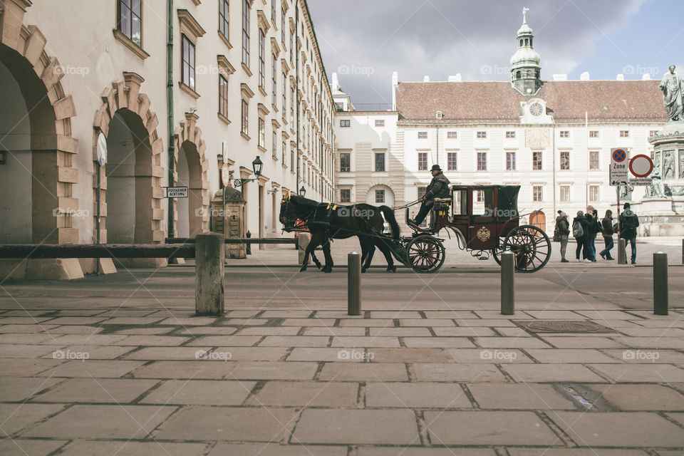 carriage with horses