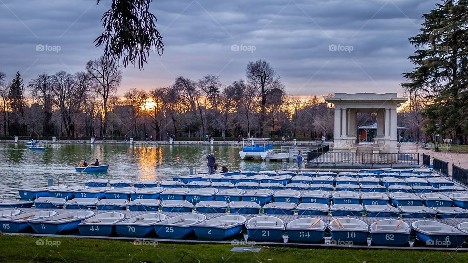 Rowing boats on the pond at sunset in El Retiro park, Madrid 