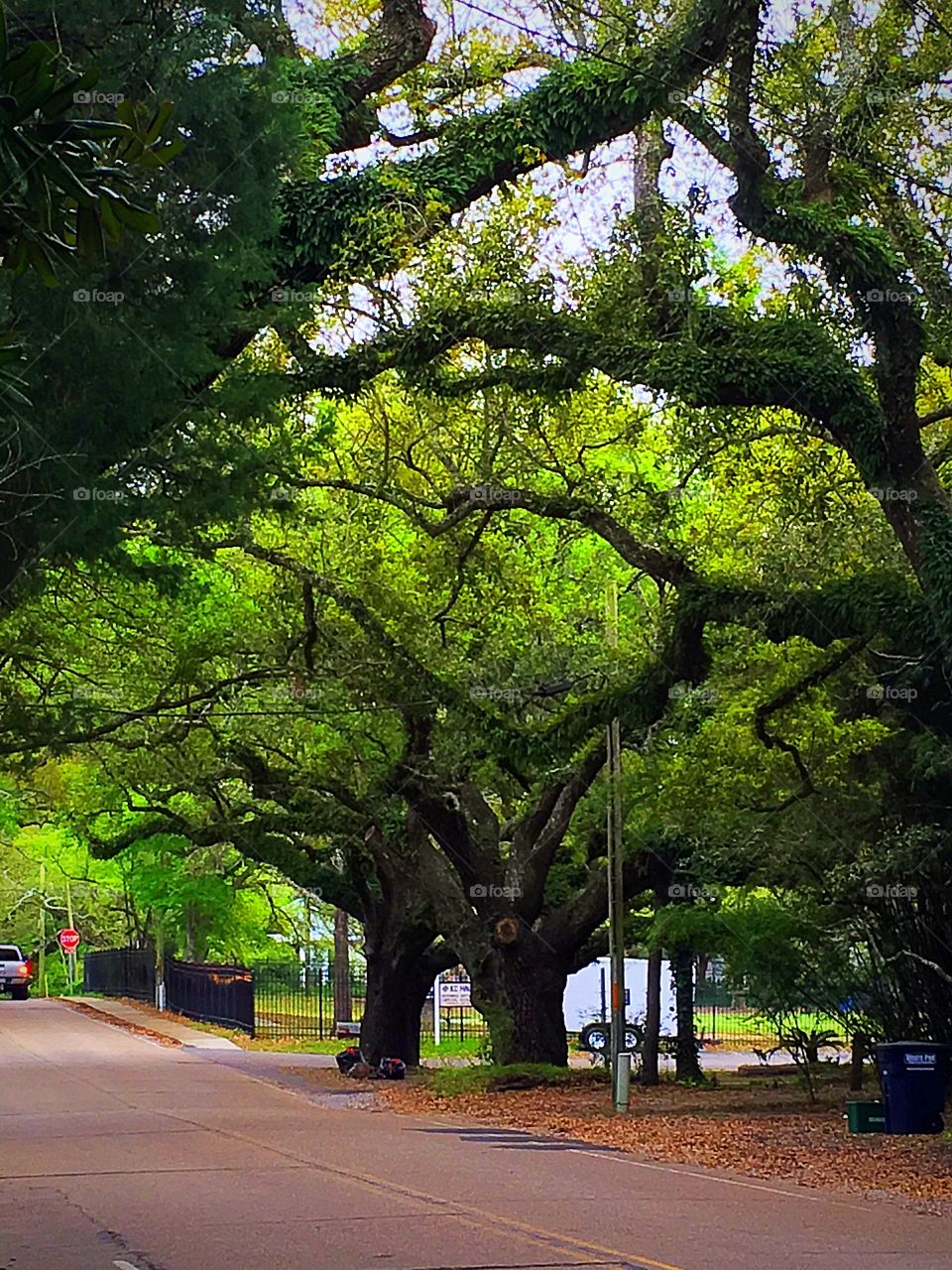 Ocean springs, MS