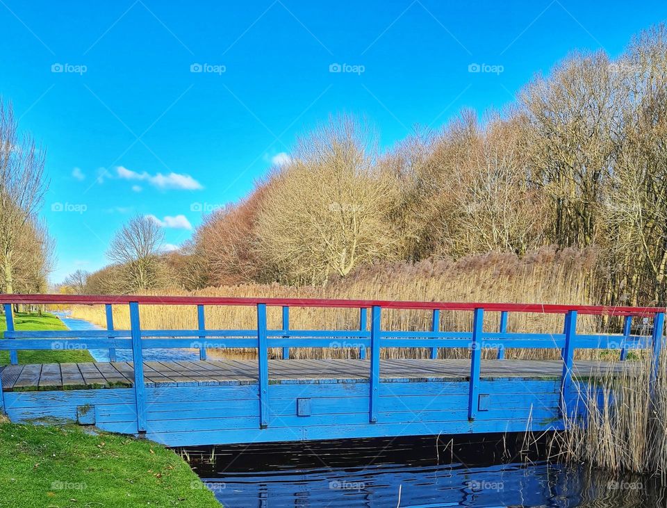 The blue bridge to the wood