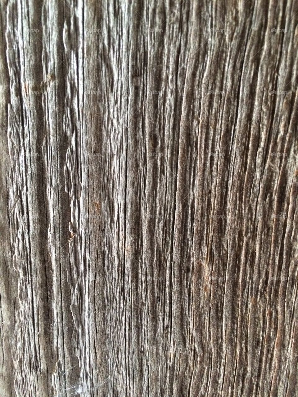 Wooden wall. Old wood