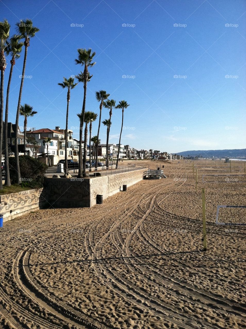 Beach Day