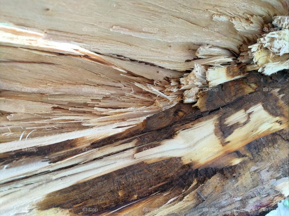 Split Wood