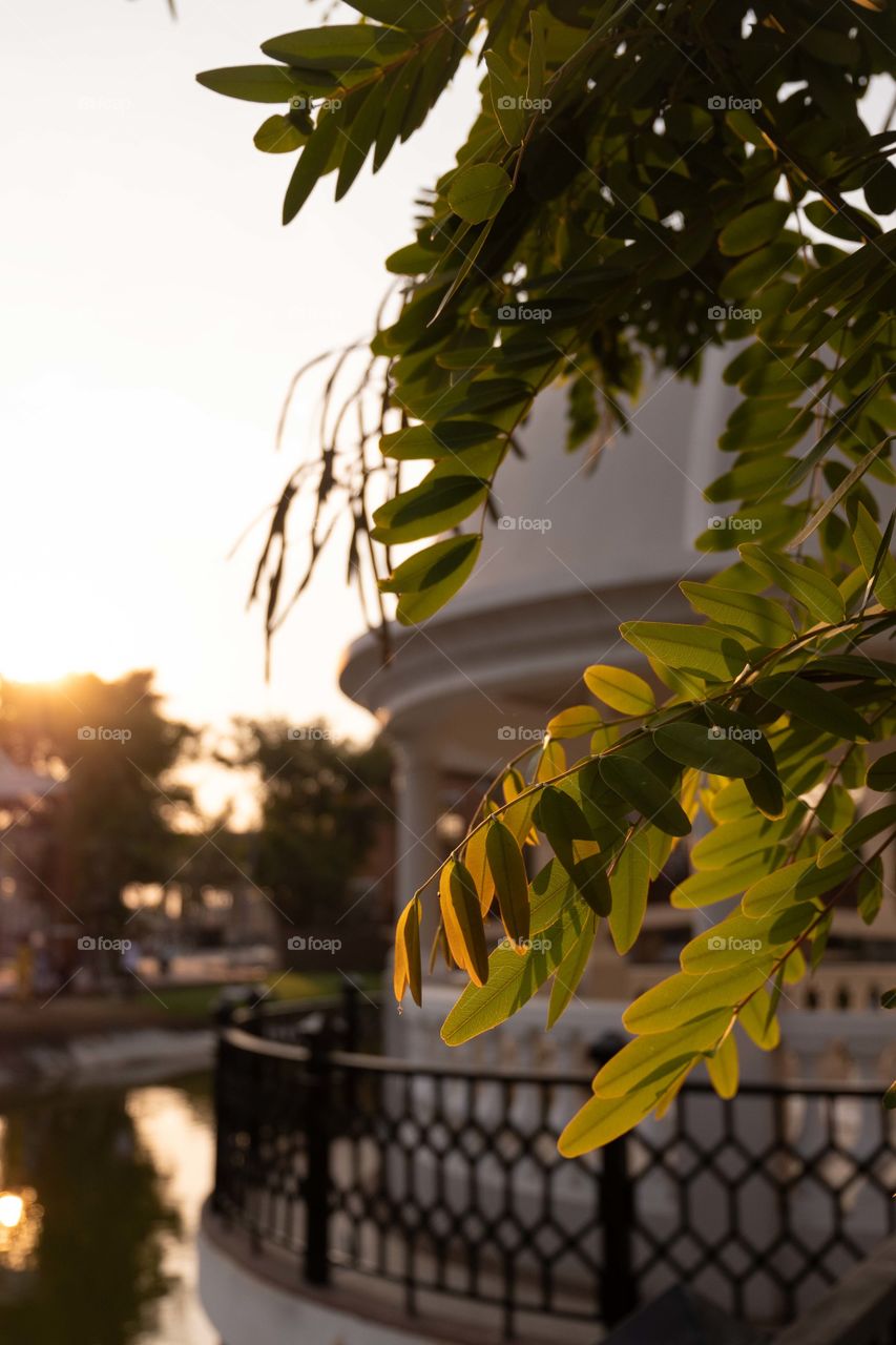 Sunset halo and white dome in the background