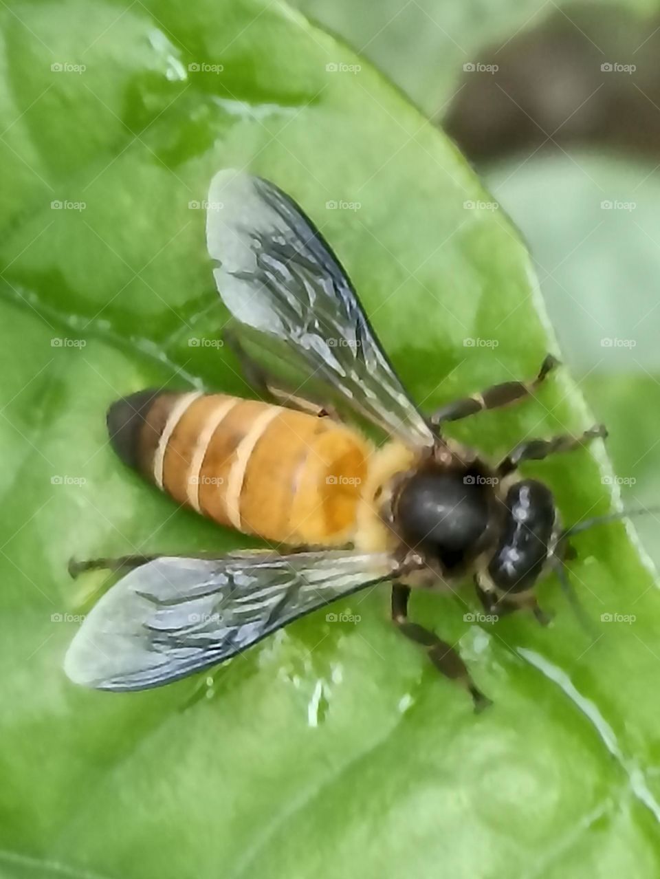 🐝🐝🐝🫣🫣🫣🫶🫶🫶🫶🫶🩷🩷🩷🩷🩷