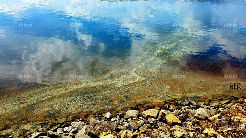 pollen like paint on the lake.