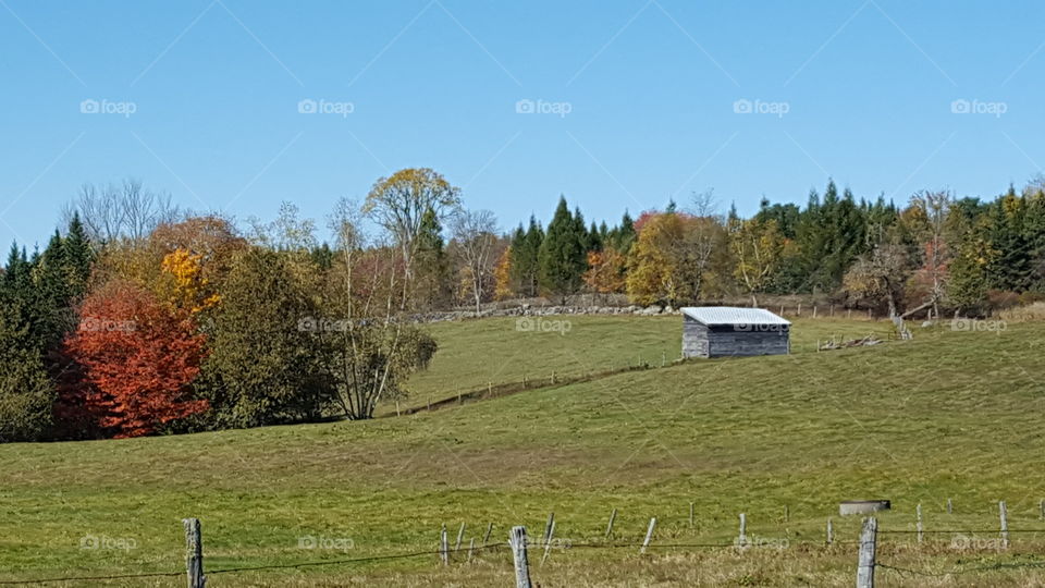 Maine farmland