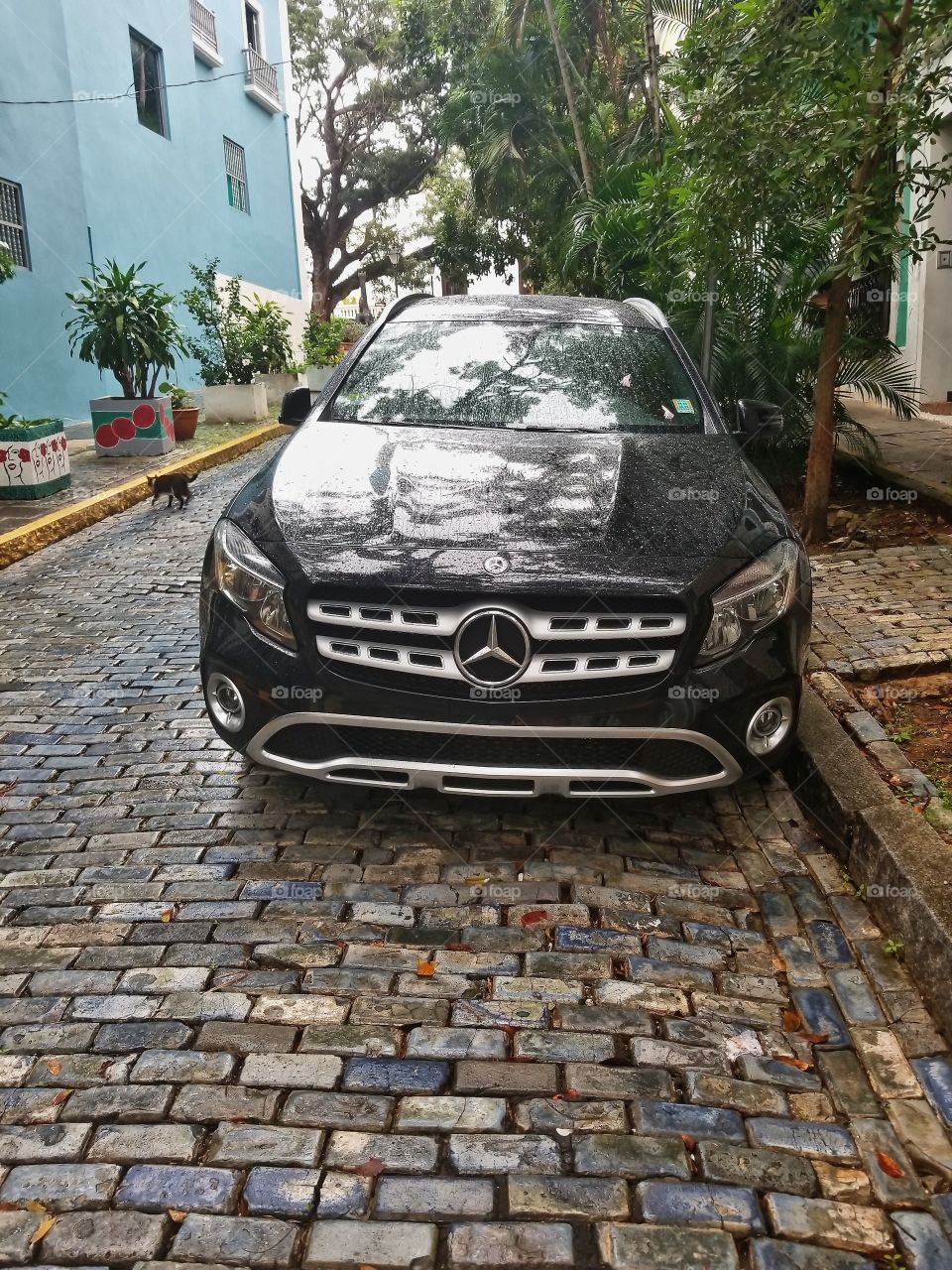 Mercedes Benz