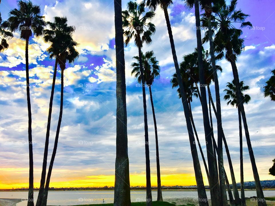 Skies and palm trees, with a hint of sunlight are great combinations!