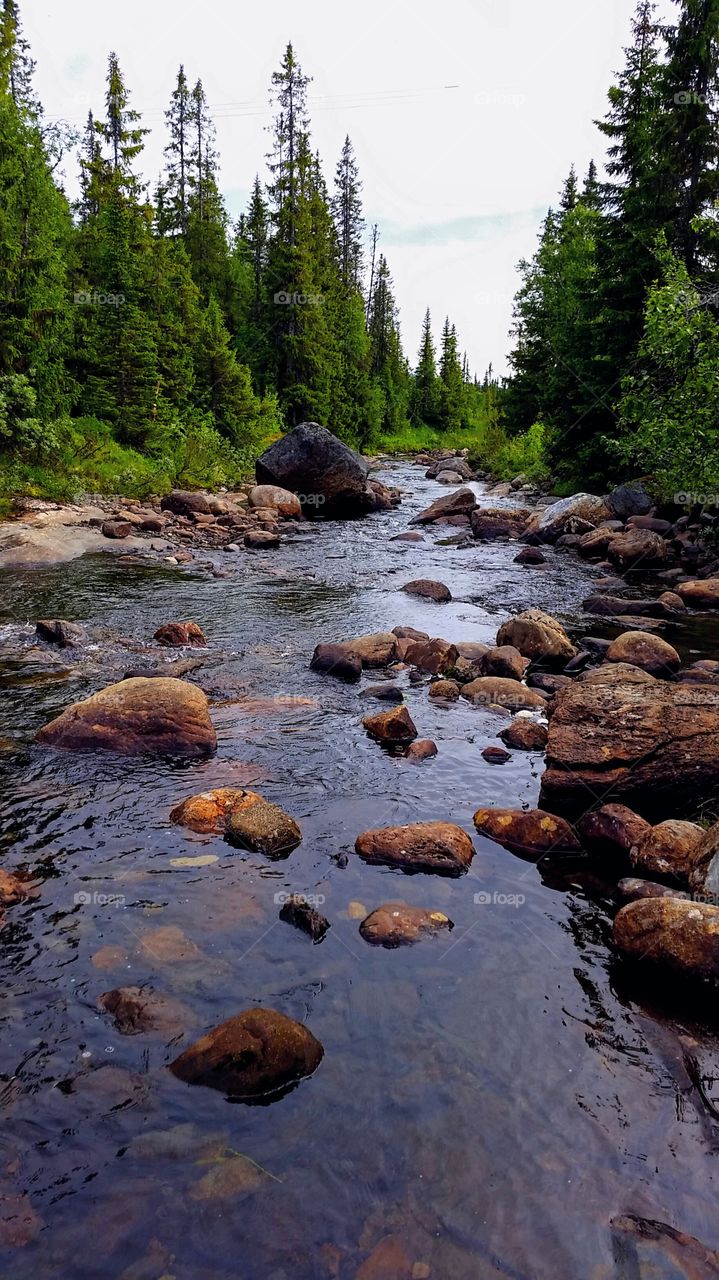 Rocks in the river