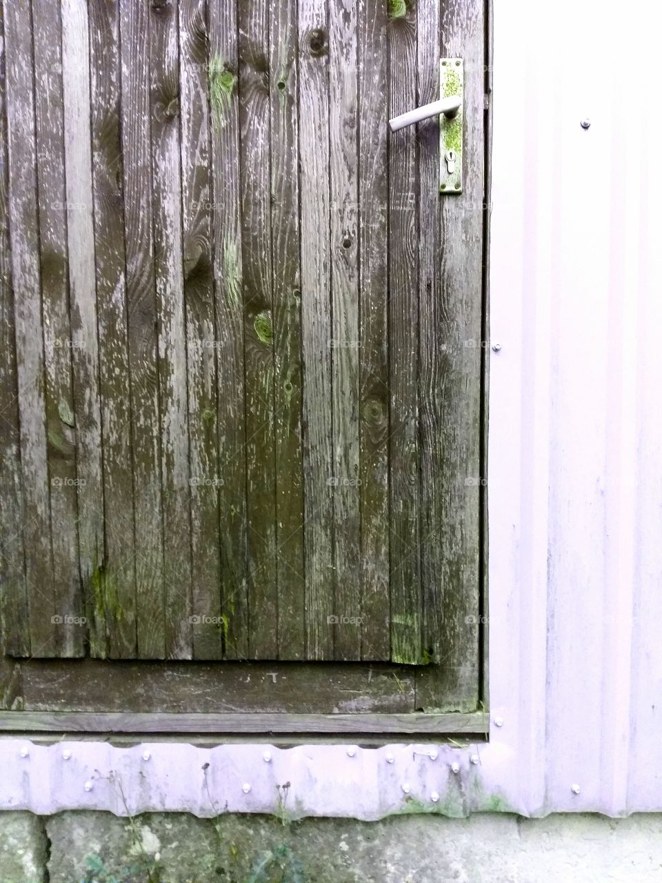 Door with green moss