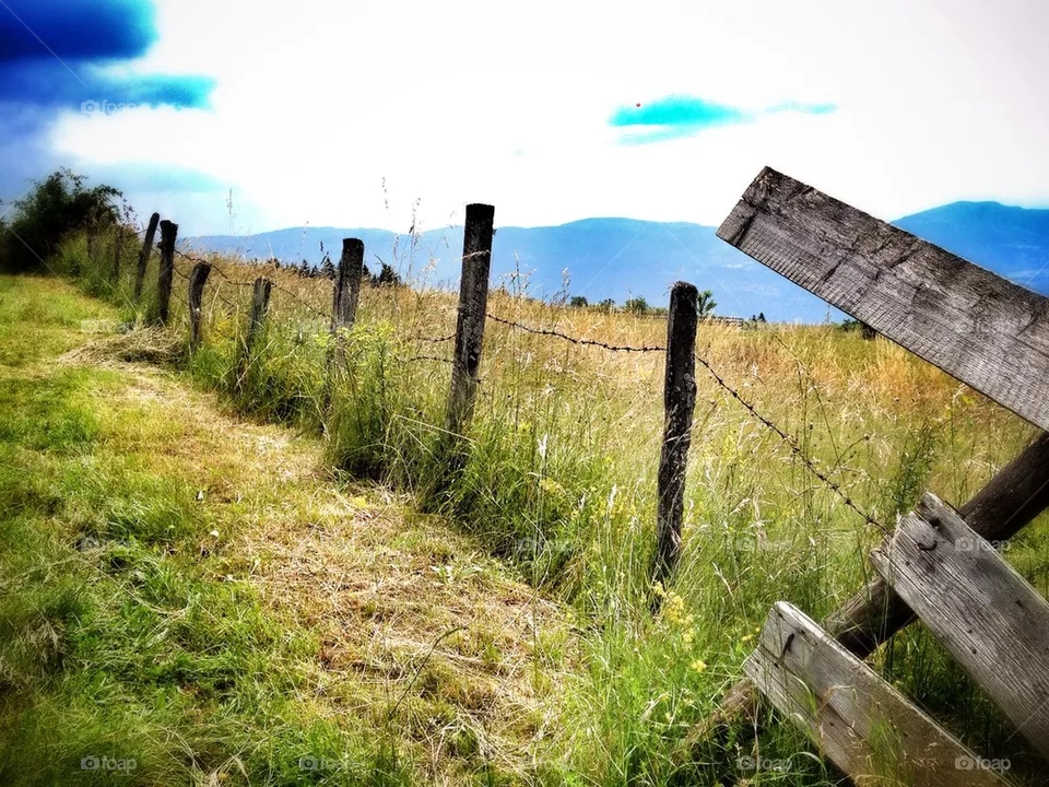 fence