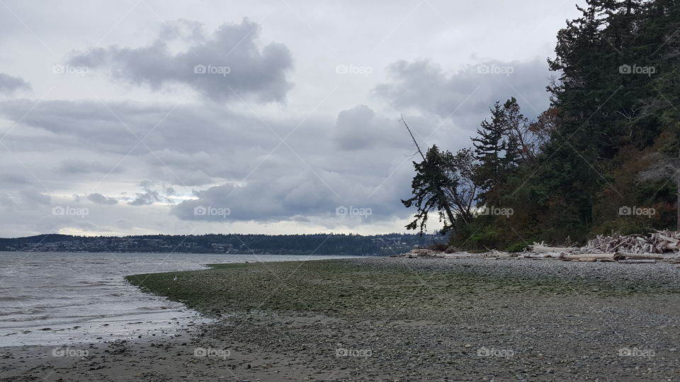 Camano beach