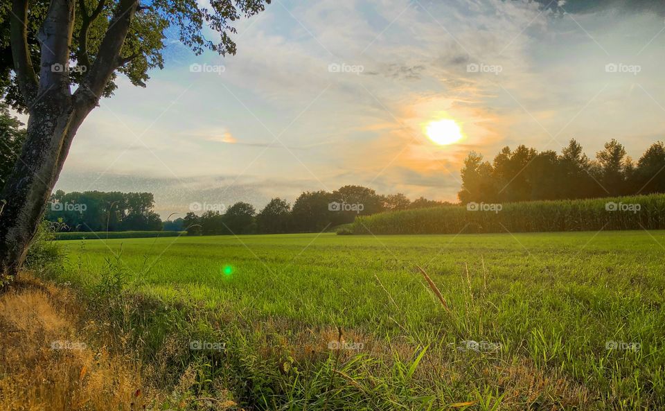 Golden sunset in a blue and Clouded sky over a rural agraric landscape