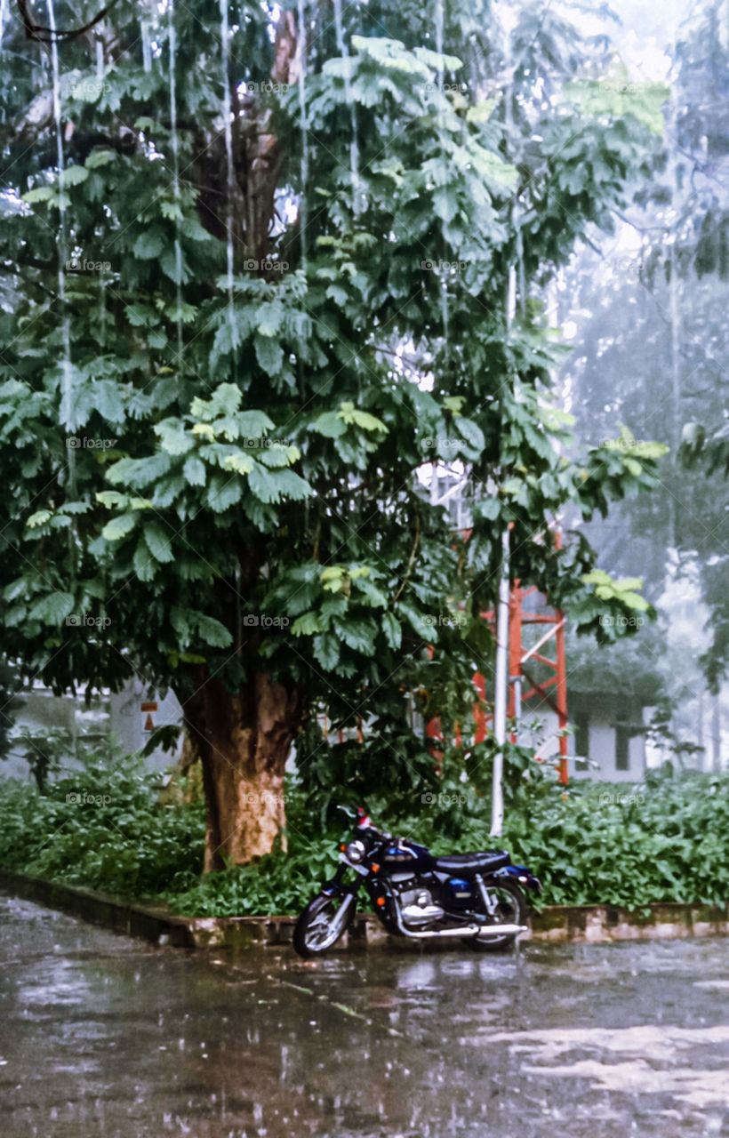 rain rain and rain all day