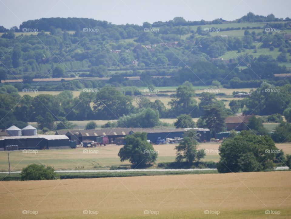 Crops. Farmland England