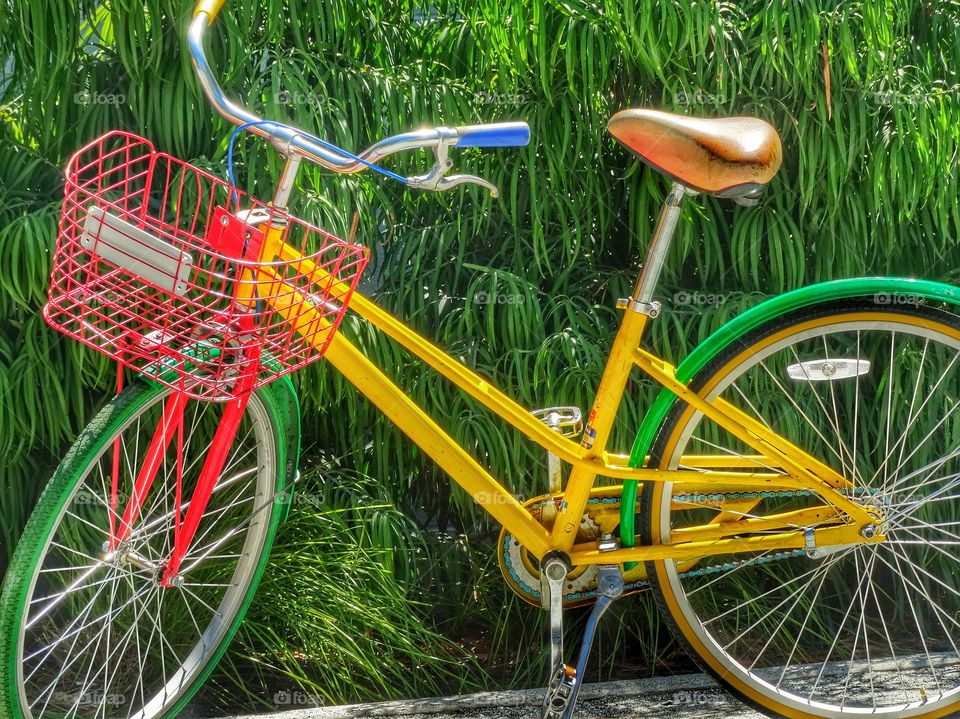 Classic Yellow Bike