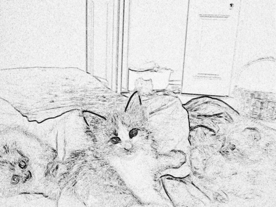 Kittens -Digital Sketch
