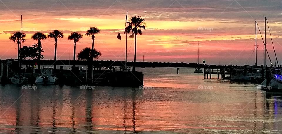 Palm tree shadows on the water