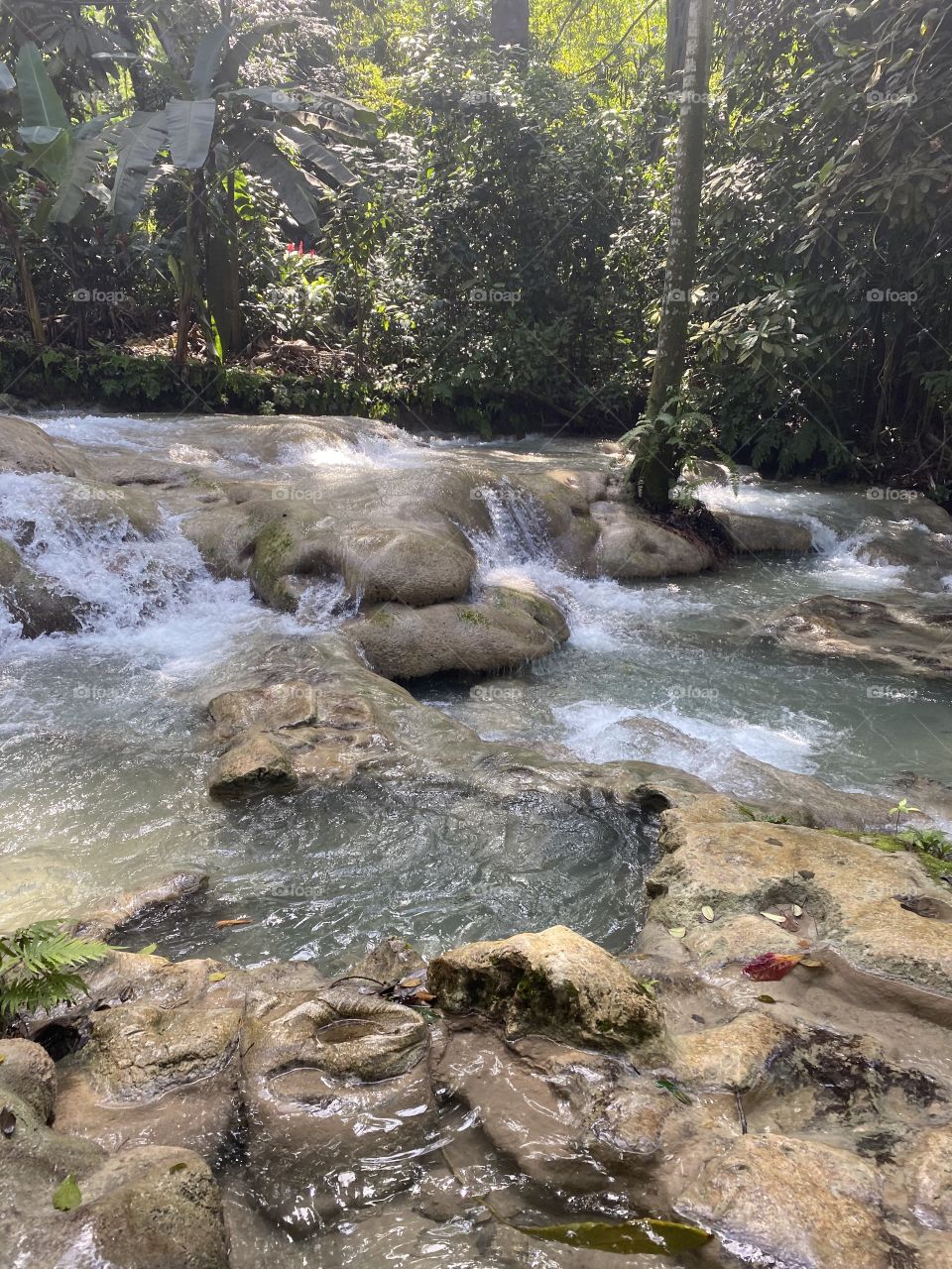Dunn’s river falls