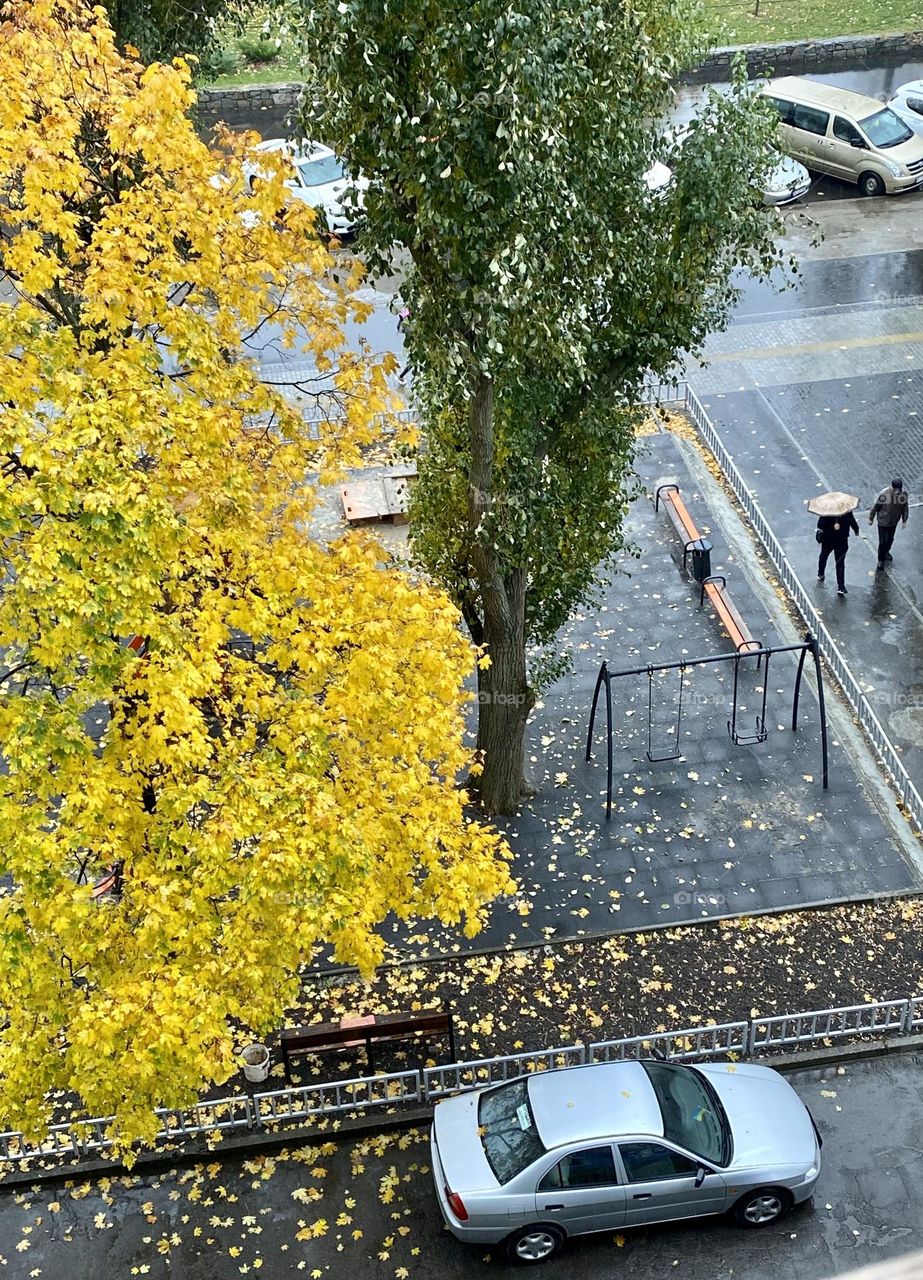 #rainy #autumn
# umbrella # trees
# puddles #