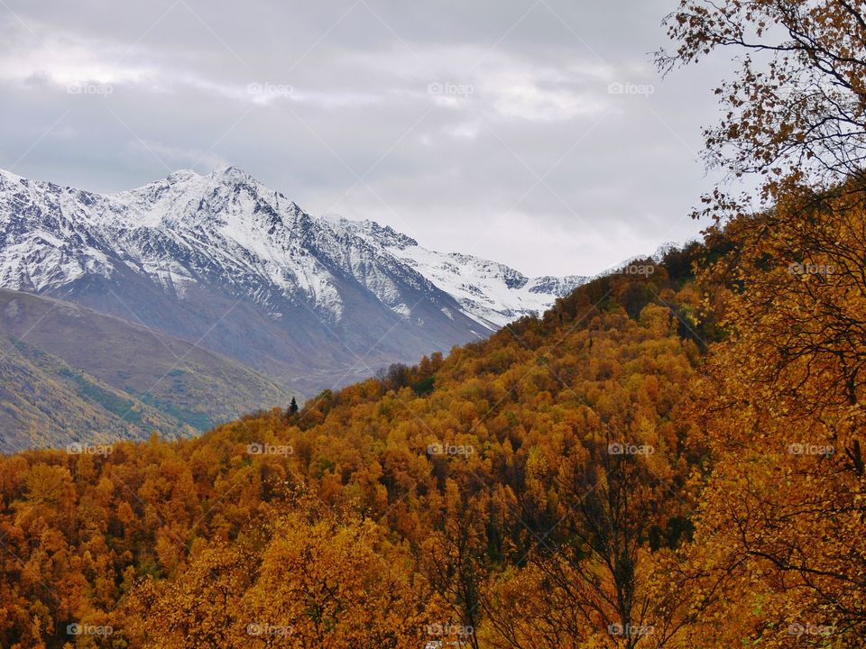 Snowcapped mountain during autumn
