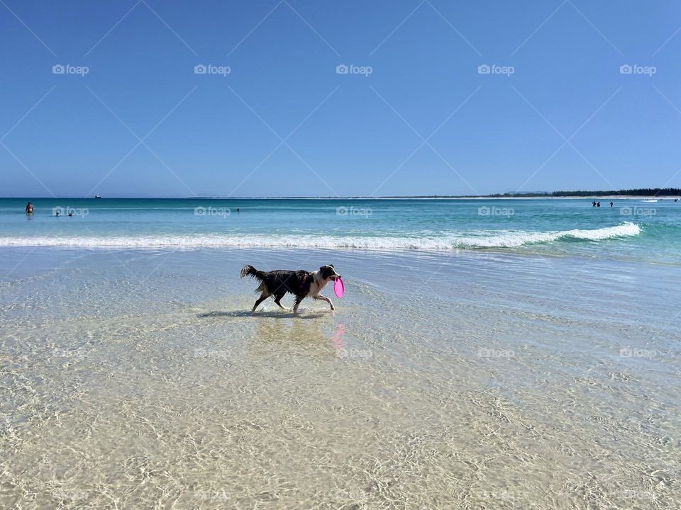 Summer at the beach