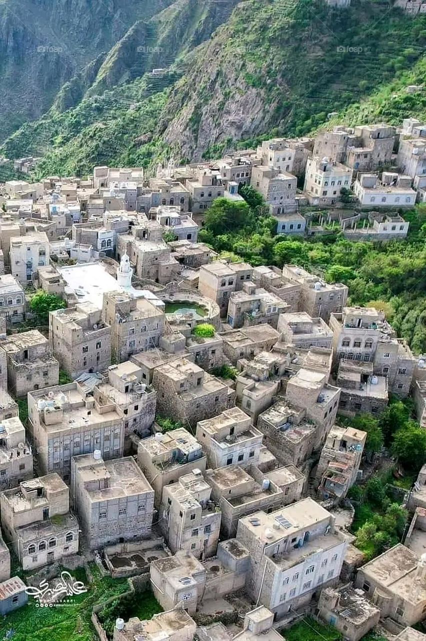 A very beautiful picture, and there is no better picture than it. There is no better picture of green herbs and colorful, red and white roses than it. Glory be to God, the natural and picturesque view, and there is no more