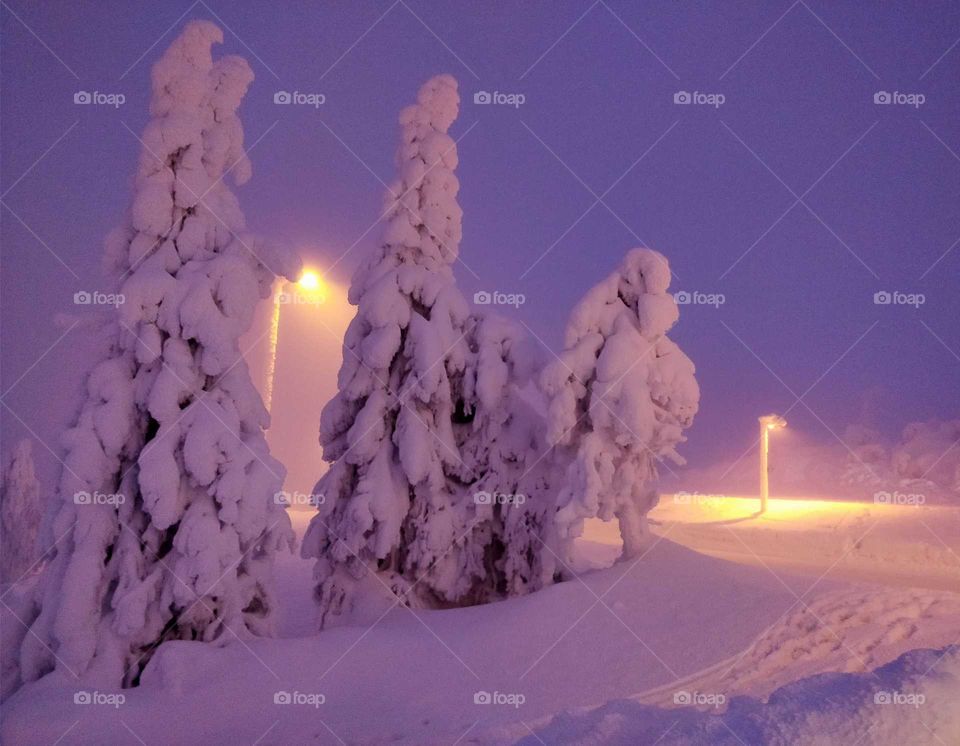 Snowy trees and lighting in Iso-Syöte ski resort in Northern Finland