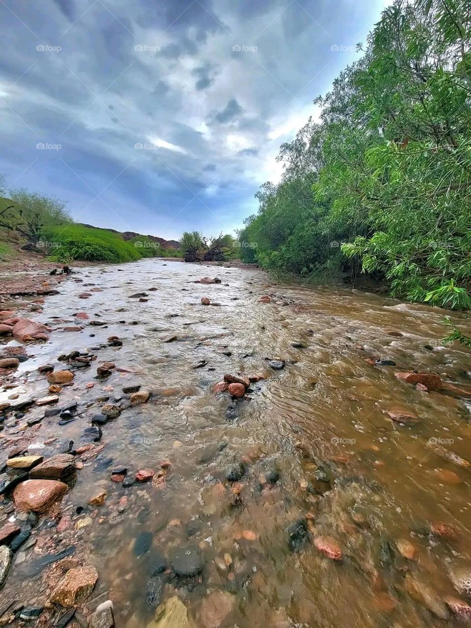 Glory be to God, the magnificent and picturesque view and the natural green trees are a view that is nothing more wonderful than it