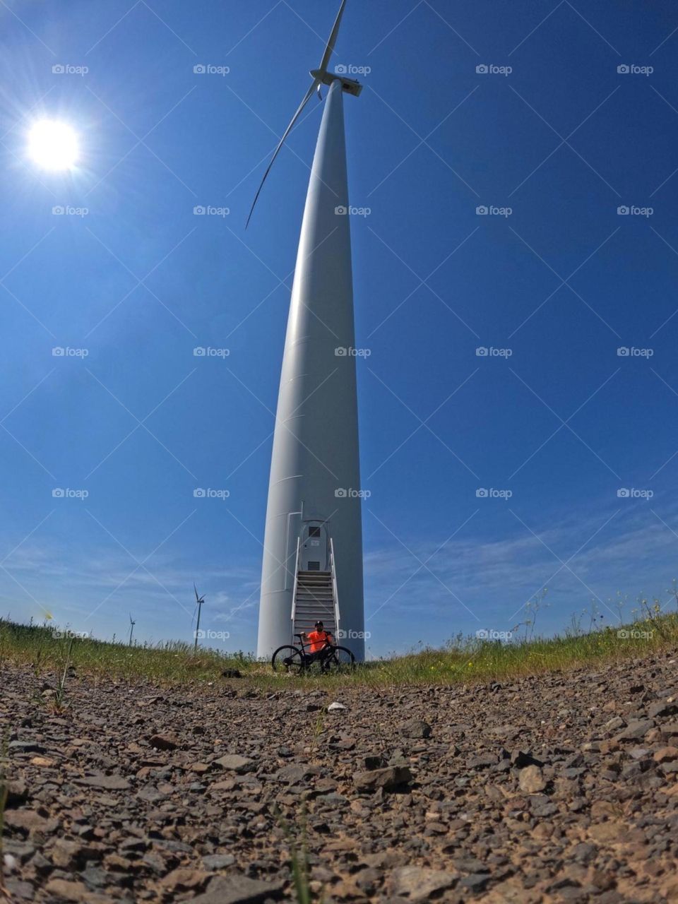 wind farm and bicycle rider