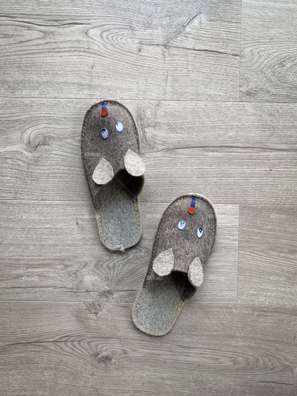 Home shoes with mouse face