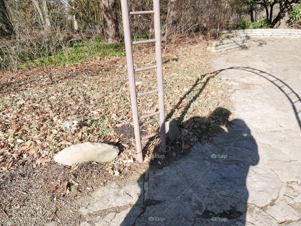 A Monday morning walk at a city park. It’s a mild day, and Spring has yet to make an appearance. But we can pretend! 