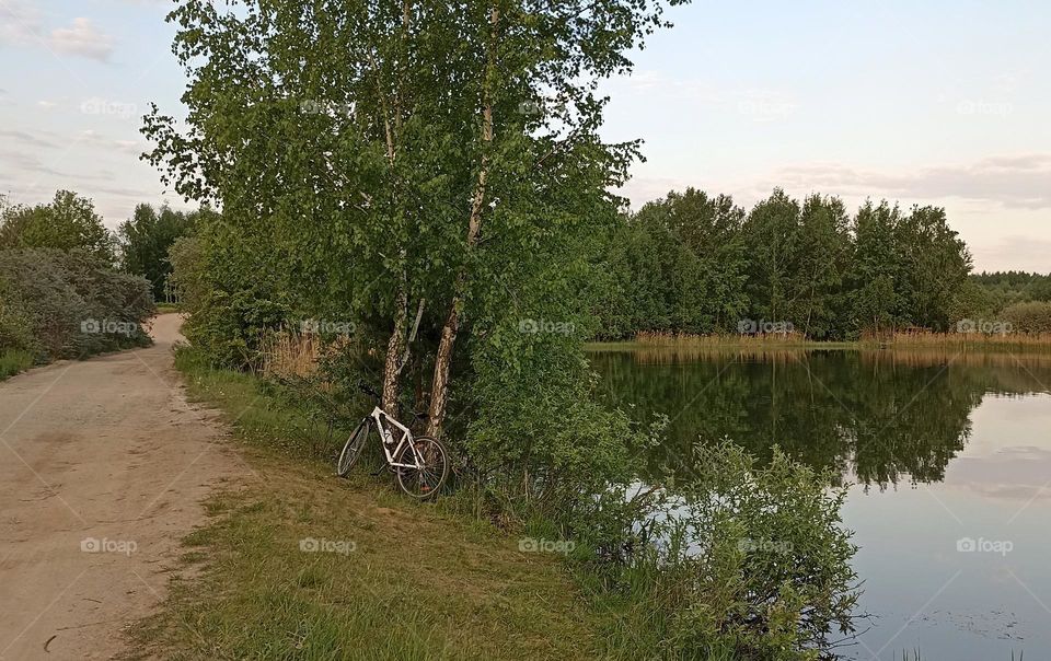 bike 🚲 on a lake shore beautiful nature landscape summer time