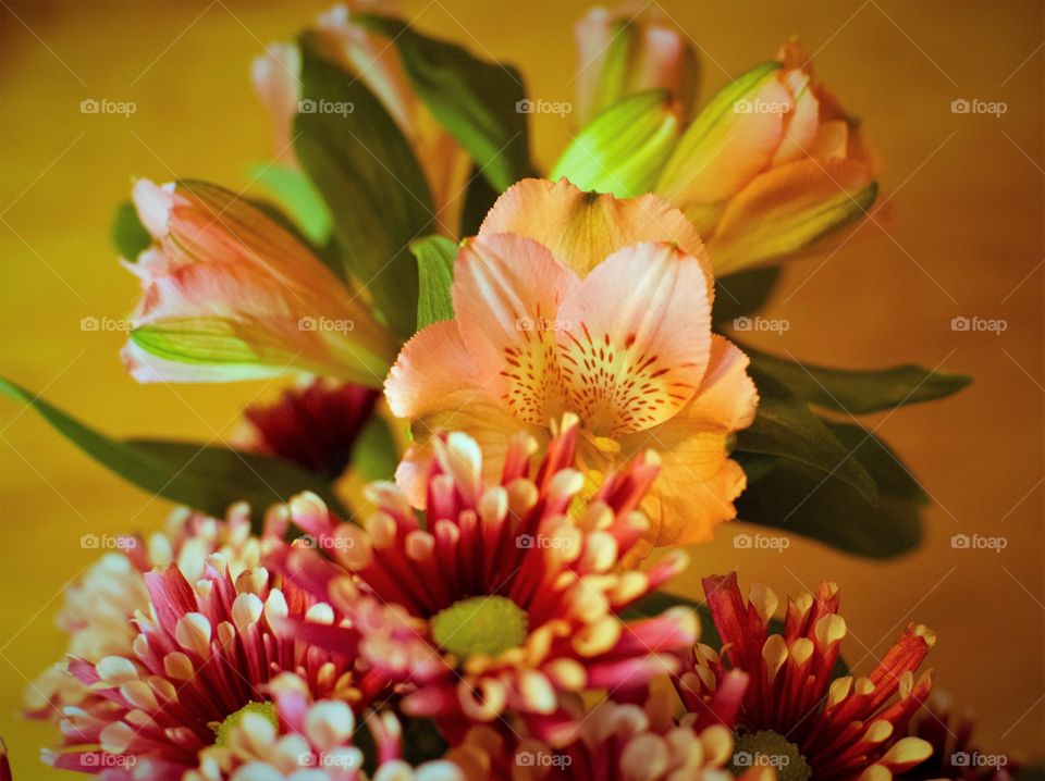 Bouquet, high angle view